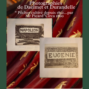 Napoléon et Eugénie deux photographies sur papier albuminé de Daelmet et Durandelle